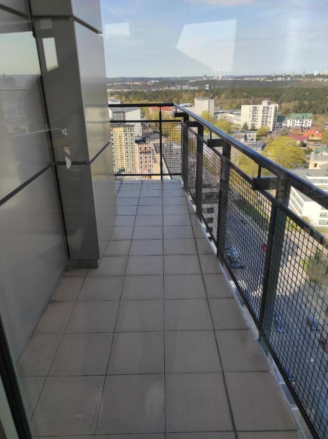 Luxury Apartment In Skyscraper 维尔纽斯 外观 照片